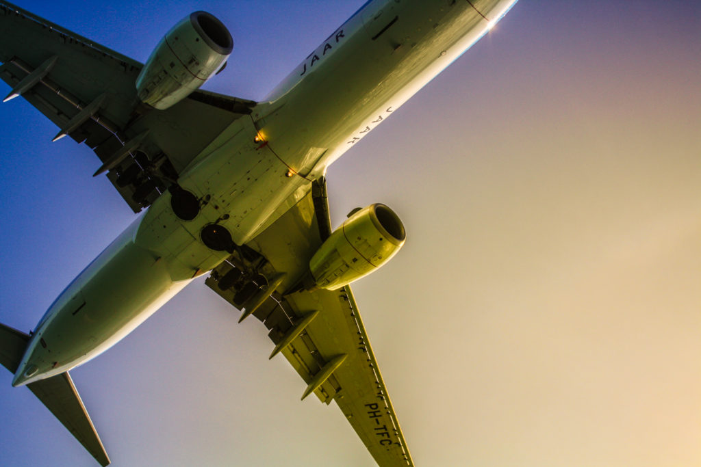 Take flight
